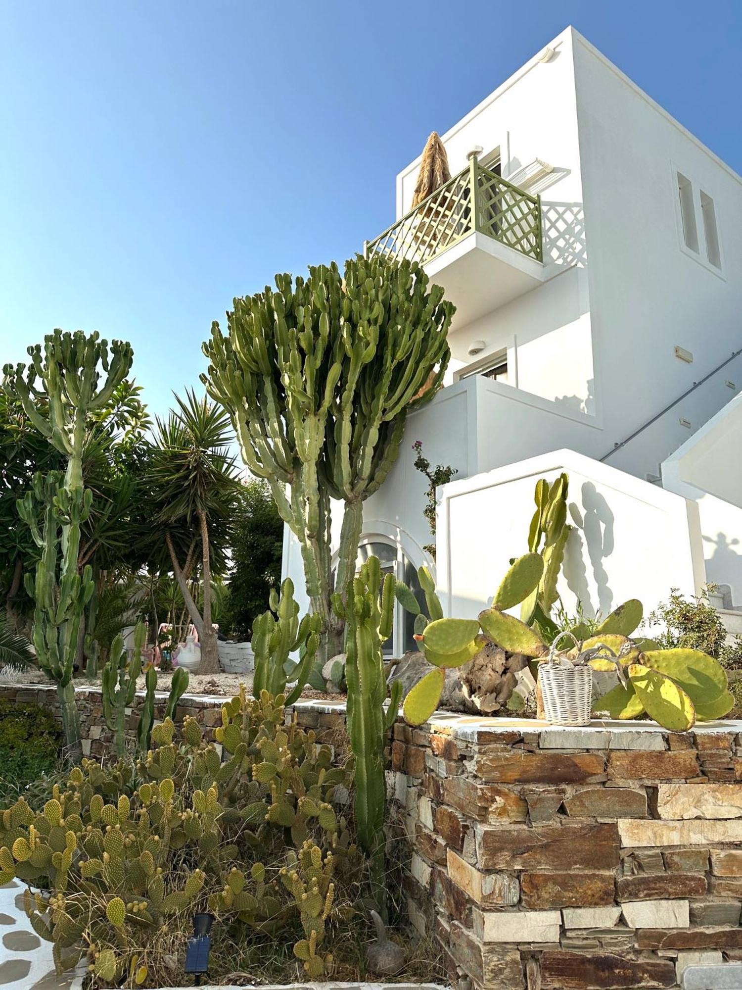 Artemis Hotel Antiparos Екстер'єр фото