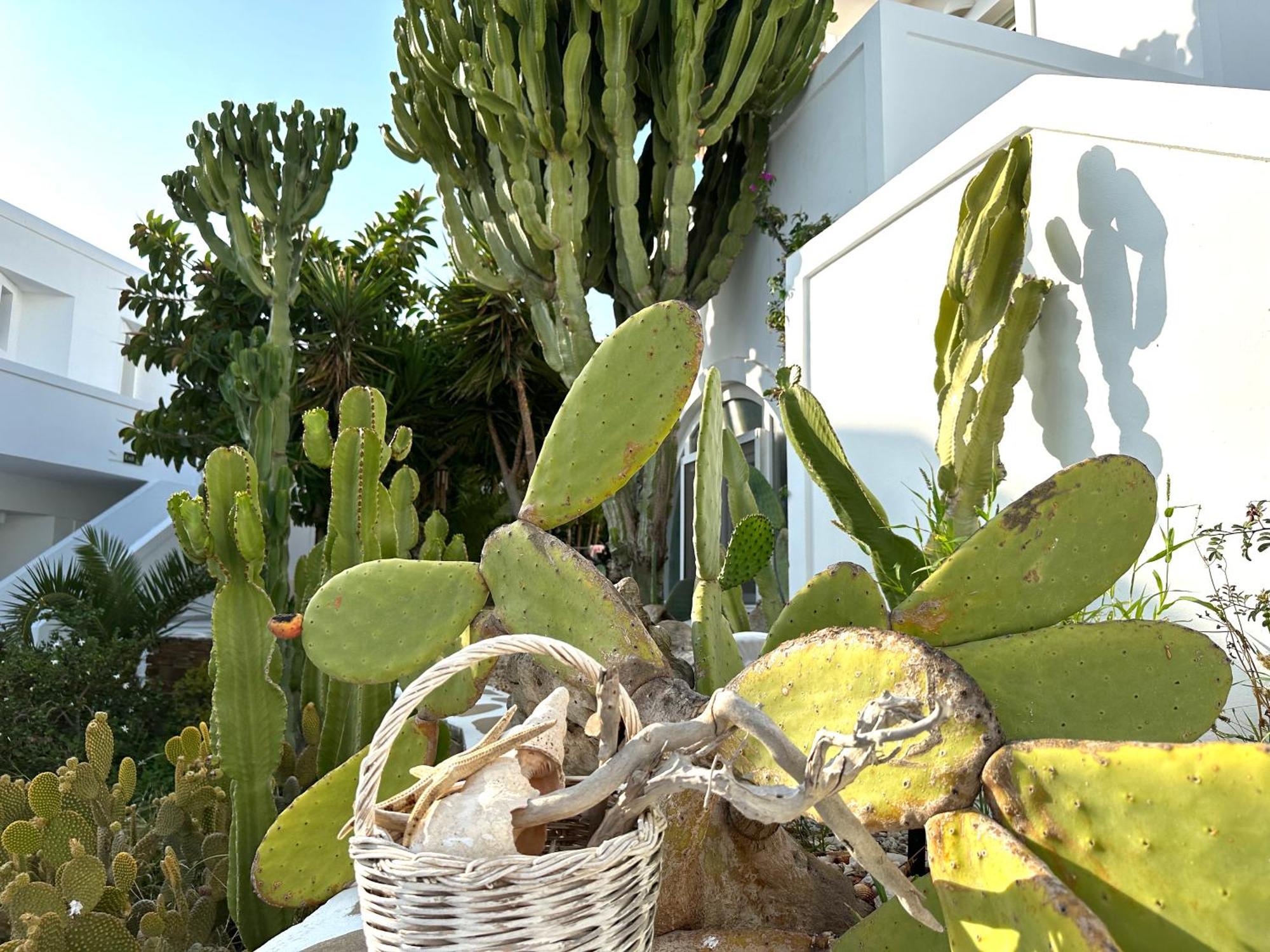 Artemis Hotel Antiparos Екстер'єр фото