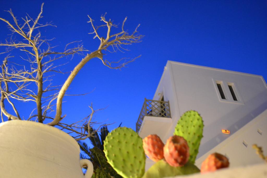 Artemis Hotel Antiparos Екстер'єр фото